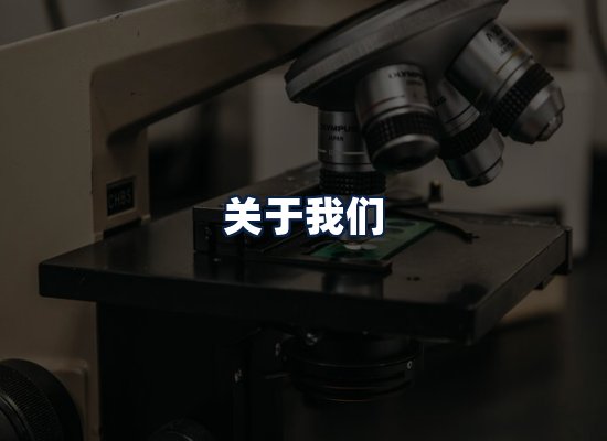 关于我们